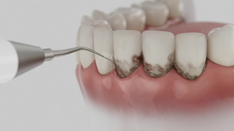Reliable Dental contractor in South Portland, ME by Dentist Open Now